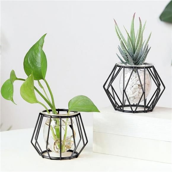 4pcs Plant Stations with Metal Stand Glass Bulb Vases Set for Hydroponics Plants - Picture 7 of 7